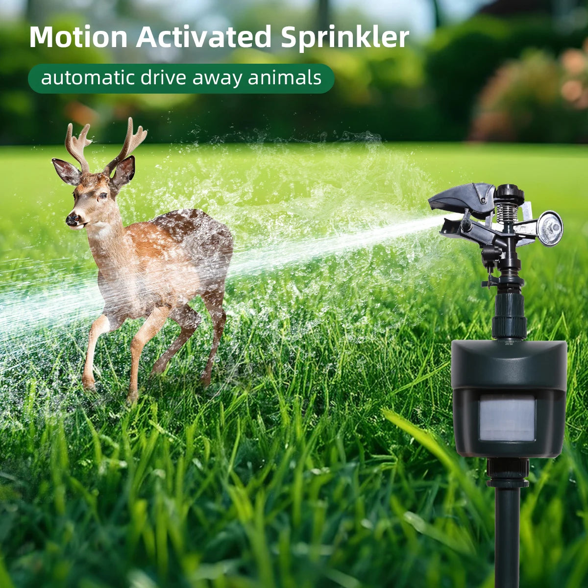 Motion Activated Garden Sprinkler With Day And Night Detection