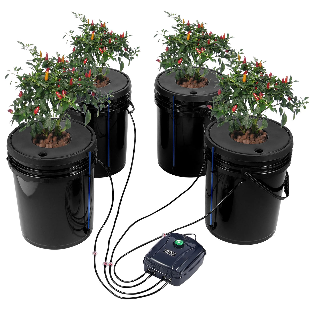SucceBuy Deep Water Culture Hydroponic Growing System Kit